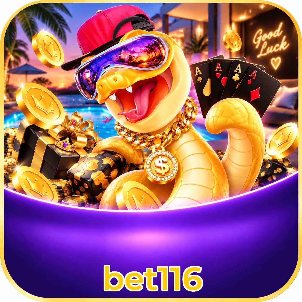 bet116 App vs Web