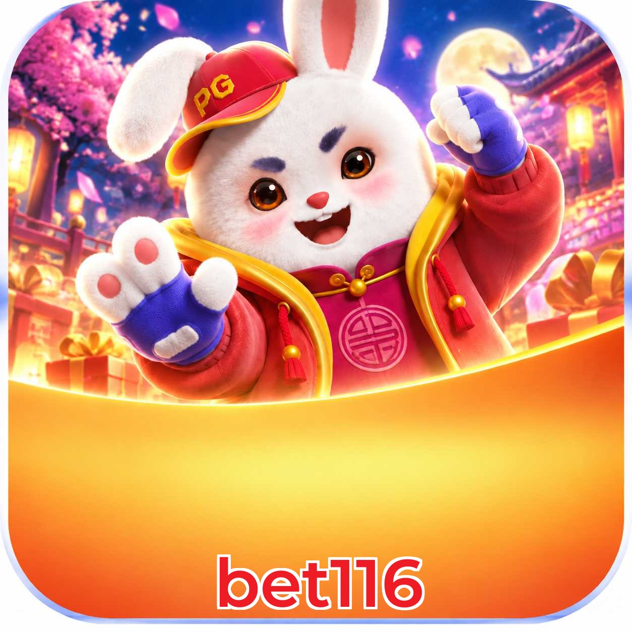 bet116 App FAQ